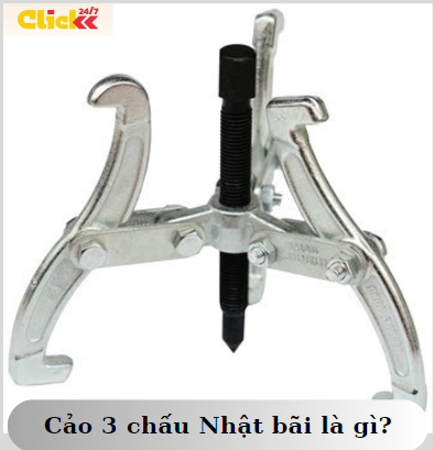 cảo 3 chấu nhật bãi là gì.png